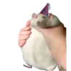 Мышь🐭 - 6