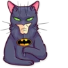 Meme Cats 27