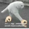 memy pró kotov (po rzhatí) 27