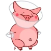 Свин Валера / Pig Valera 24