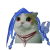 LOL meme cat 15