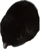 meow 27
