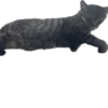 meow 29