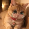 Meowshkin 28