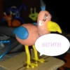PRO LEPKA 27