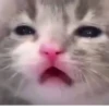 Стики из @Anonymnyi_chat_bot 29