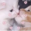 For loved gf♡ by 7