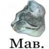 Meme 5