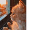 MEOW MEOW | 7