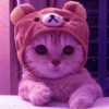 MEOW MEOW | 8