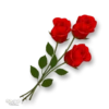 Moorche_Flowers_Win2Farsi.com 6
