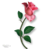 Moorche_Flowers_Win2Farsi.com 8