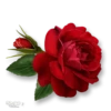 Moorche_Flowers_Win2Farsi.com 9
