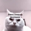 блять снова не выспался