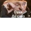 Meme 7