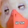 micro_lol 2 8
