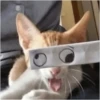 micro_lol 2 9