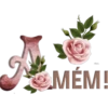 Canal: Mensagensemfe 11
