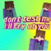 Random mcyt ig 10