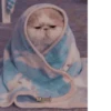 MEOW MEOW | 14