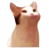 @GIFSTIKI ? POOP CAT ? ? :: 15