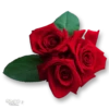 Moorche_Flowers_Win2Farsi.com 15