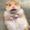 OMG MEMES 14