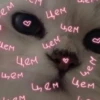 💕 Стики тYт: 12