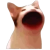 @GIFSTIKI ? POOP CAT ? ? :: 17