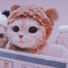MEOW MEOW | 17