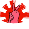 Pink Rabbit 13