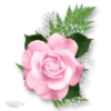 Moorche_Flowers_Win2Farsi.com 20