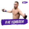 Meta MMA | UFC 17