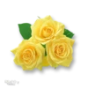 Moorche_Flowers_Win2Farsi.com 22