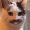 OMG MEMES 20