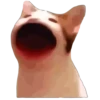 @GIFSTIKI ? POOP CAT ? ? :: 23