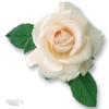 Moorche_Flowers_Win2Farsi.com 26
