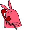 Pink Rabbit 23