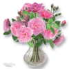 Moorche_Flowers_Win2Farsi.com 28
