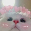 MEOW MEOW | 26