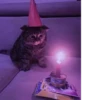 MEOW MEOW | 27