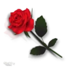 Moorche_Flowers_Win2Farsi.com 30