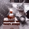 K отмечают час. твоего игнора