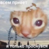 Kitty Time 😼 by 2
