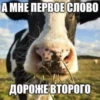 Mimzi_mix 5