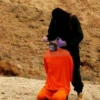 Monkey Haircut 6