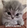 Mimzi_mix 12