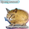 взгляд коньки Грация картошьки