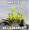 Mimzi_mix 15