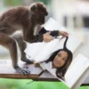 Monkey Haircut 10